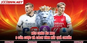 Kèo Châu Âu XX8 - 3 Cửa Cược Và Cách Tính Kết Quả Chuẩn