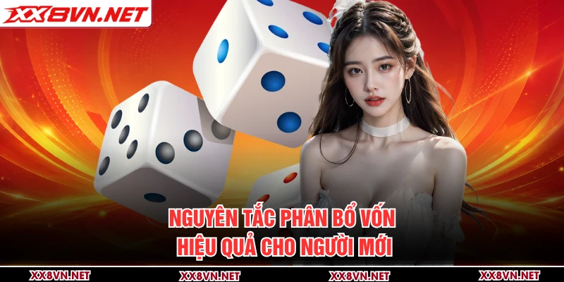 Nguyên tắc phân bổ vốn hiệu quả cho người mới