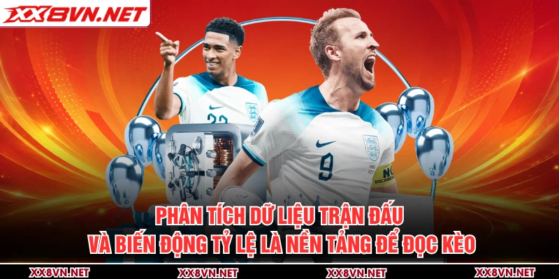 Phân tích dữ liệu trận đấu và biến động tỷ lệ là nền tảng để đọc kèo